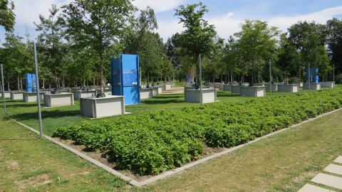 L’arboretum-laboratoire à l’exposition Floriade 2022 (Almere, Pays-Bas) compte 68 « jeunes arbres », en espace très ouvert dans un futur quartier périurbain. A contrario, à Delft, des arbres en conteneurs mobiles peuvent être déplacés pour tester différentes configurations. ©LKP